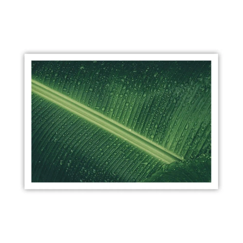 Poster - Structura verdelui - 100x70 cm
