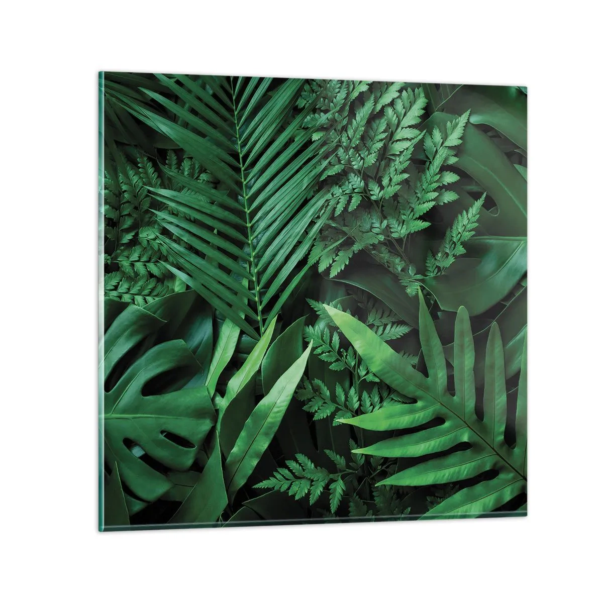Tablou pe sticlă - Înfășurate în verde - 30x30 cm