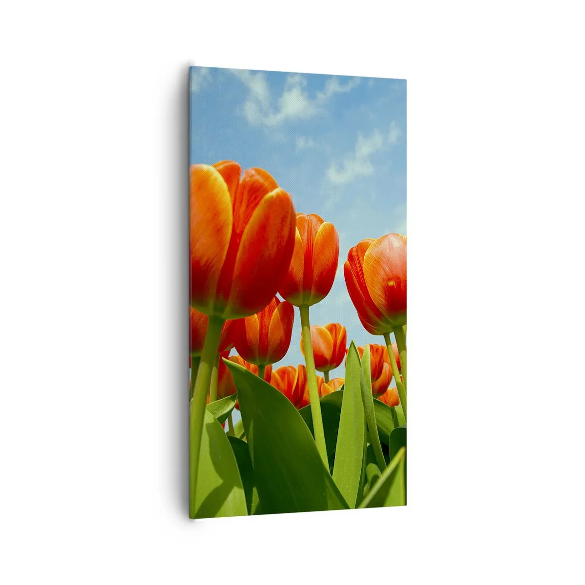 Tablou pe pânză - Doar cerul albastru - 65x120 cm