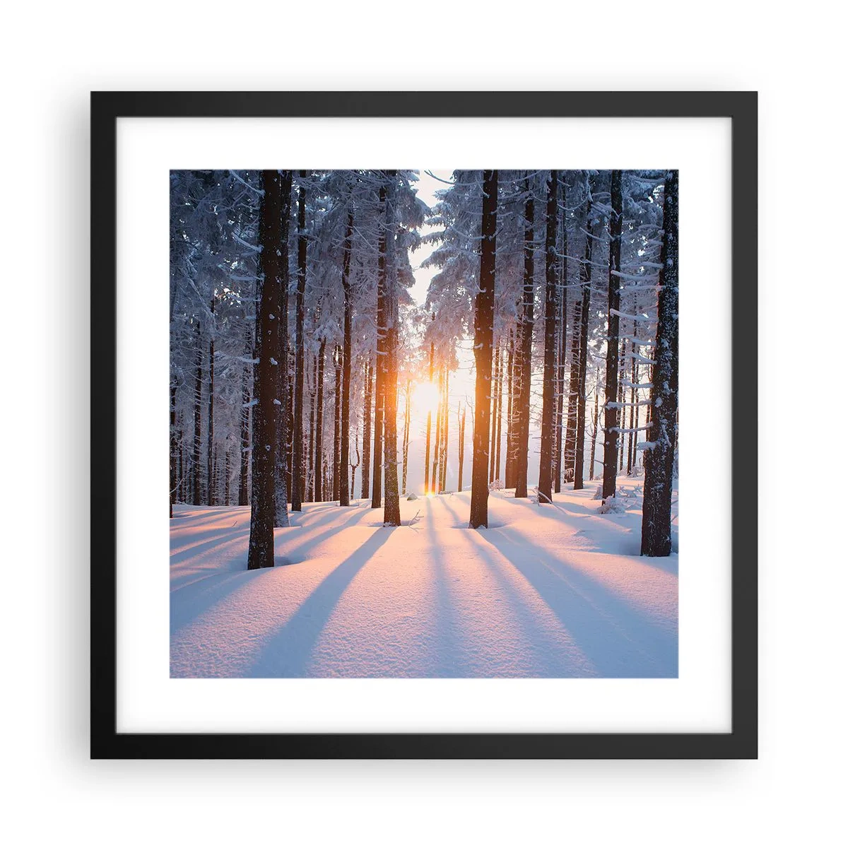 Poster în ramă neagră - În mod clar în alb și negru - 40x40 cm