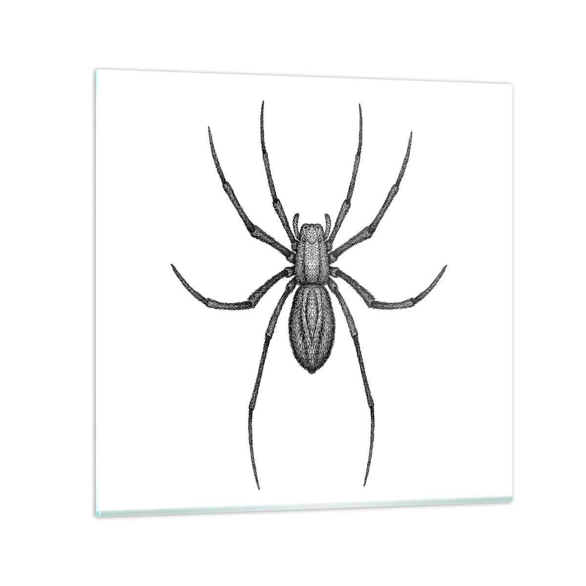 Tablou pe sticlă - Precizie tulburătoare - 70x70 cm