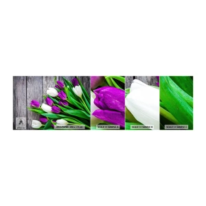 Mostră de Tapet Standard Eco - În ziua festivalului de primăvară - Flori, Lalele, Buchet de flori - 100x30 cm