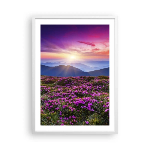 Poster în ramă albă - Ierburile proaspete miroseau puternic - 50x70 cm