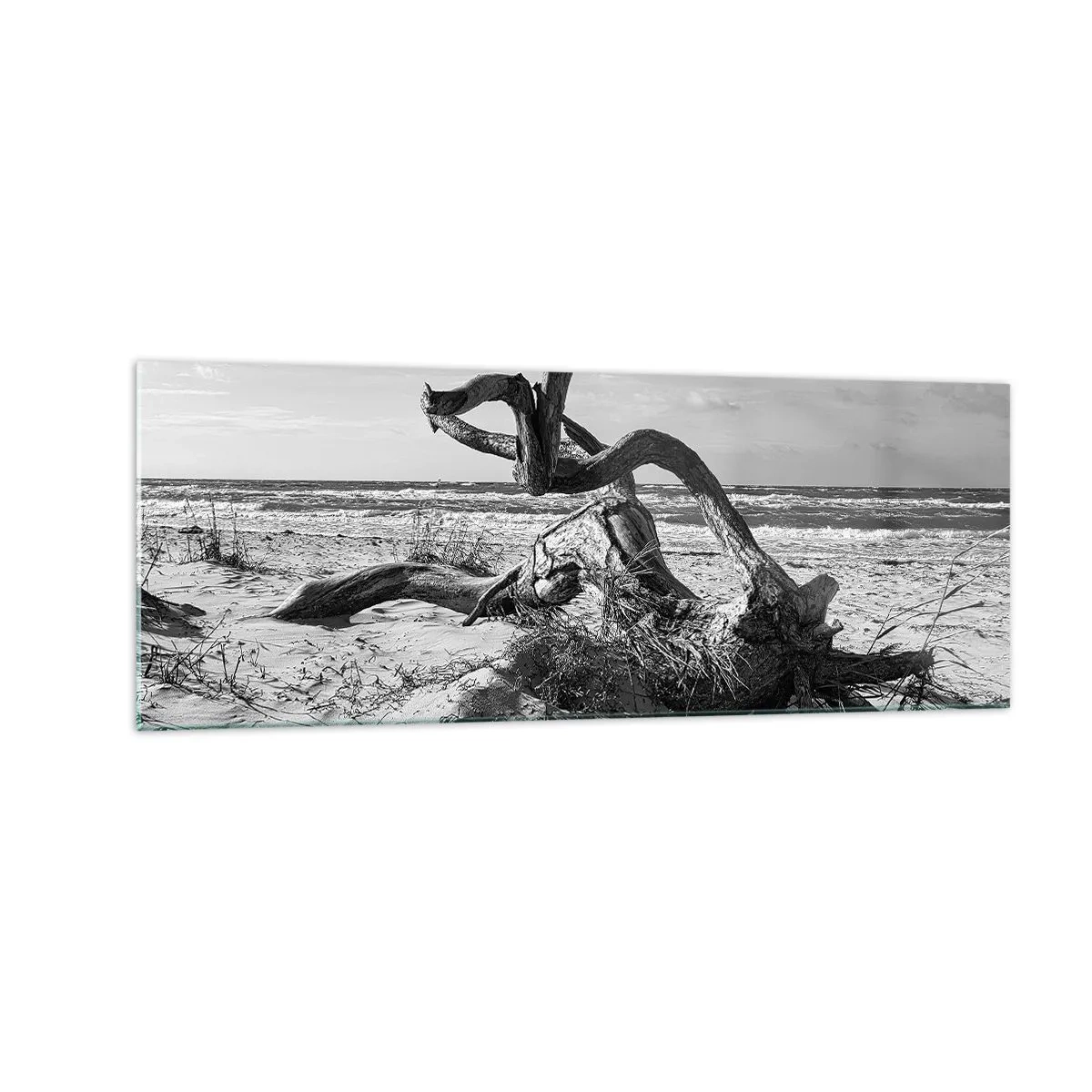 Tablou pe sticlă - Sculptură marină - 140x50 cm