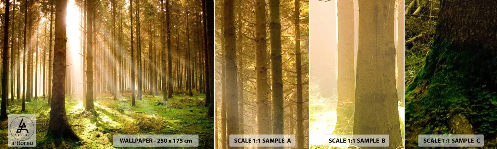Mostră tapet autocolant Deluxe Sticker - Spiridușii sunt pe cale să apară - pădure, Raze de soare, Natură - 100x30 cm