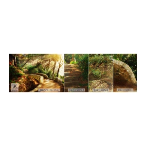 Mostră tapet Premium Sand - Direct de pe pod în pădurea de basm - Peisaje, Scari de piatra, Raze de soare - 100x30 cm