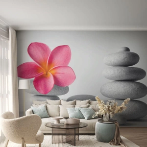 Tapet Standard Eco - O floare roz pe pietre aranjate în stive armonioase - 100x70cm - Piatră peste piatră, iar pe această piatră... - Decorațiune modernă pentru perete pentru living și dormitor ARTTOR