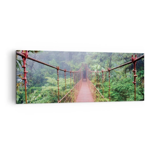 Tablou pe pânză - Suspendat deasupra coroanelor arborilor - 140x50 cm