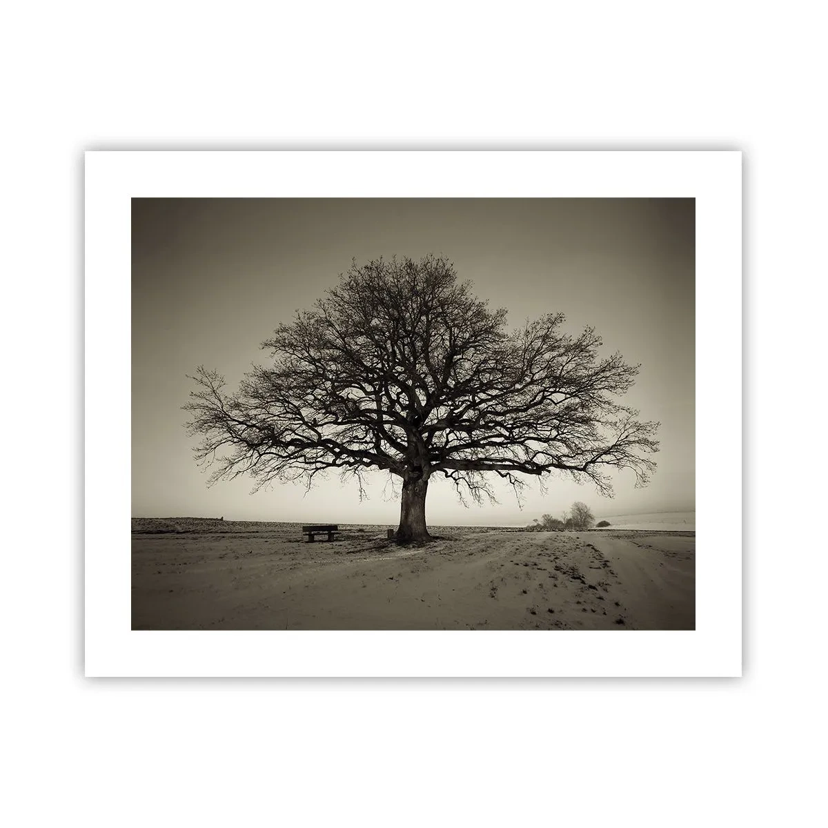 Poster - De aici până în veșnicie - 50x40 cm