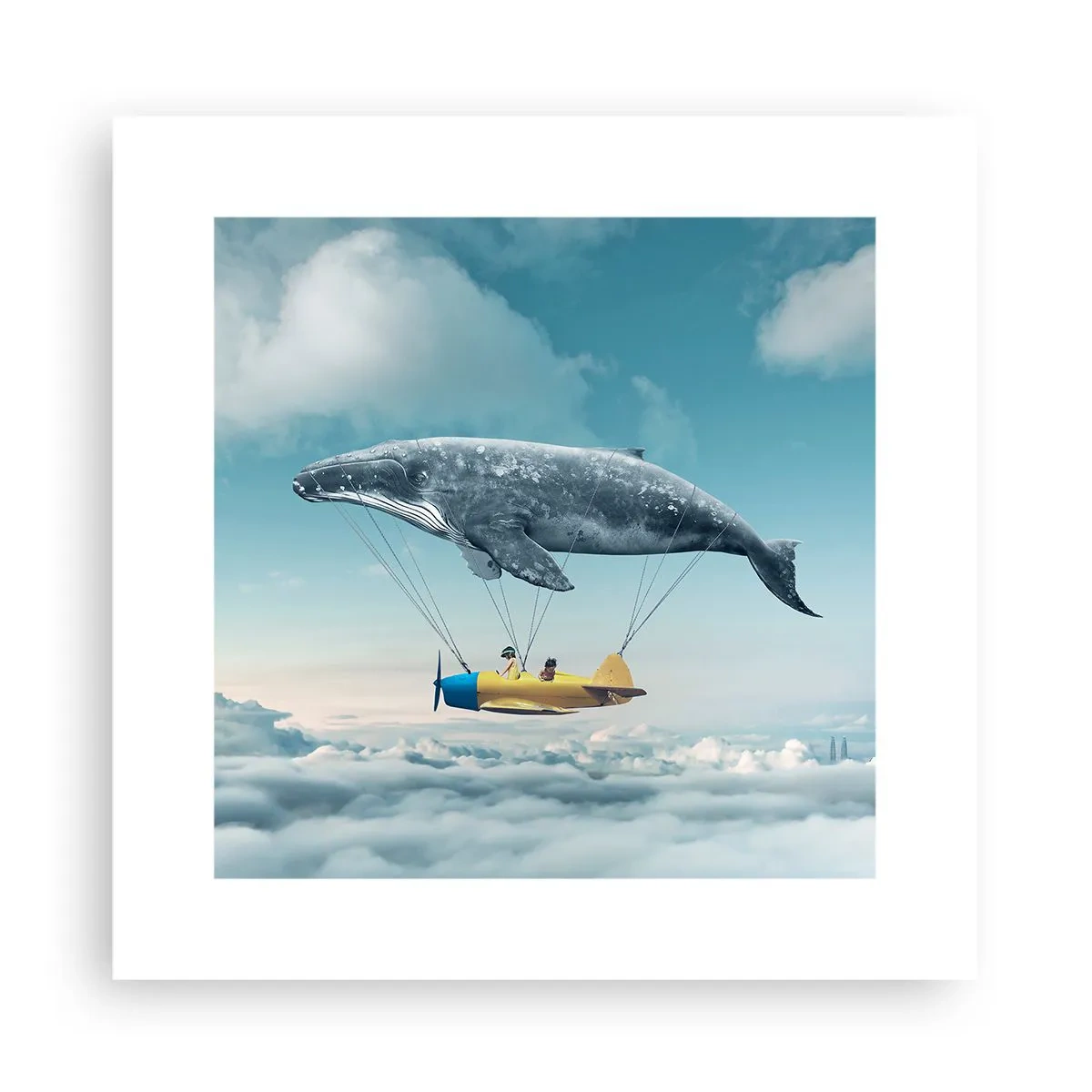 Poster - De ce nu? - 30x30 cm