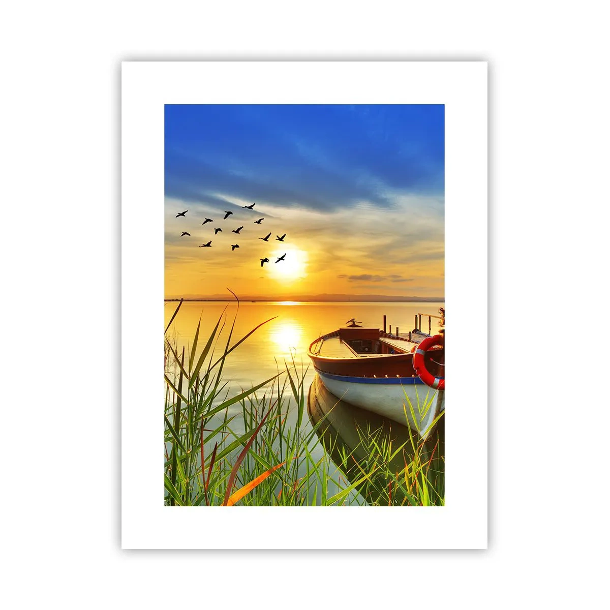 Poster - Cormoranii pleacă deja - 30x40 cm