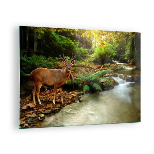 Tablou pe sticlă - Un cerb lângă un pârâu într-o pădure însorită - 70x50cm - Bun venit în lumea mea - Decorațiune modernă pentru perete pentru living și dormitor ARTTOR