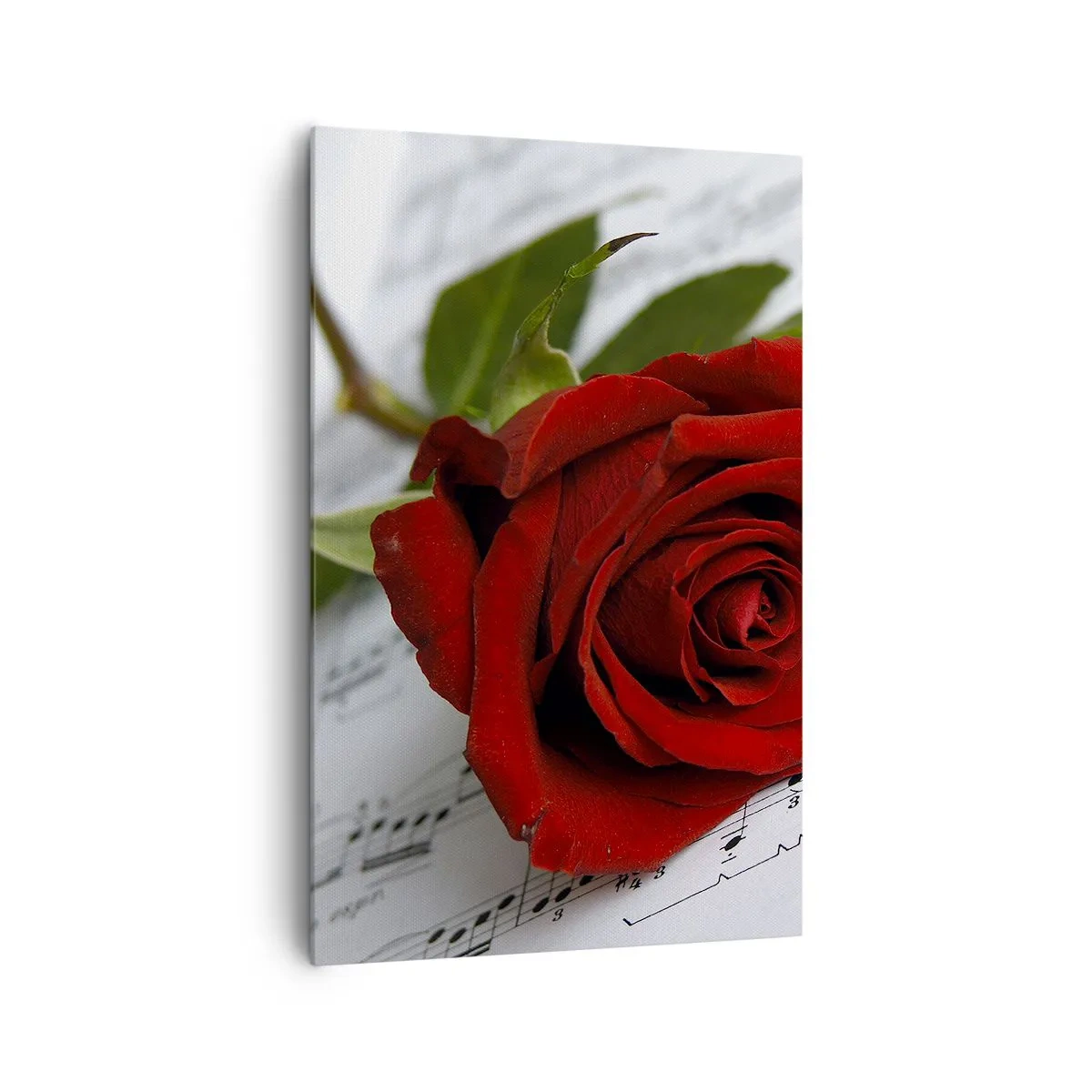 Tablou pe pânză - Muzica sentimentelor în stacojiu - 80x120 cm