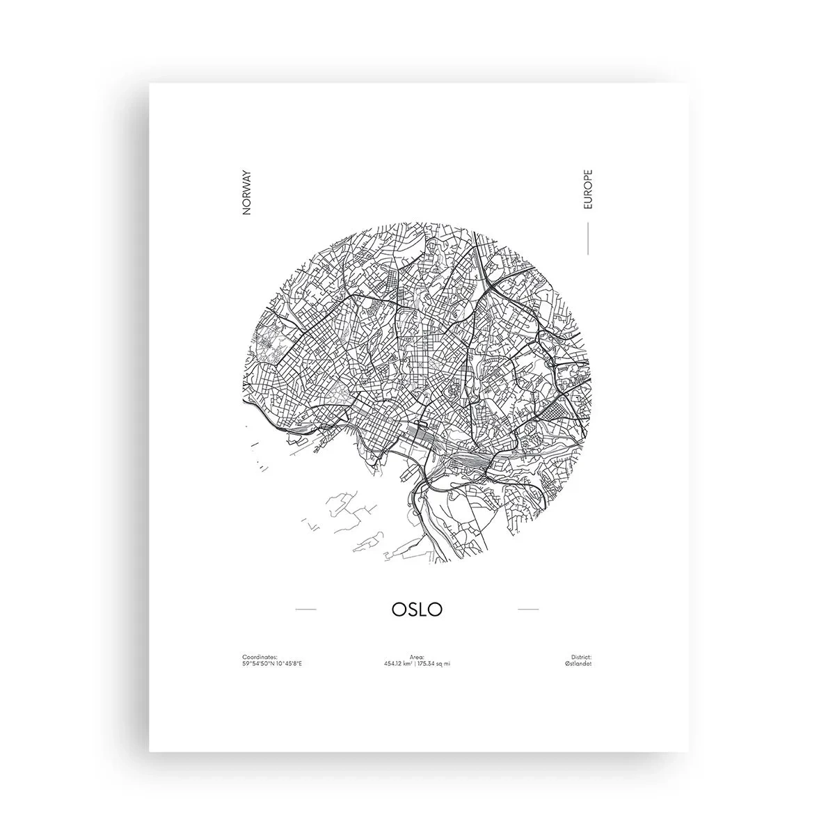 Poster - Anatomia Oslo - 40x50 cm