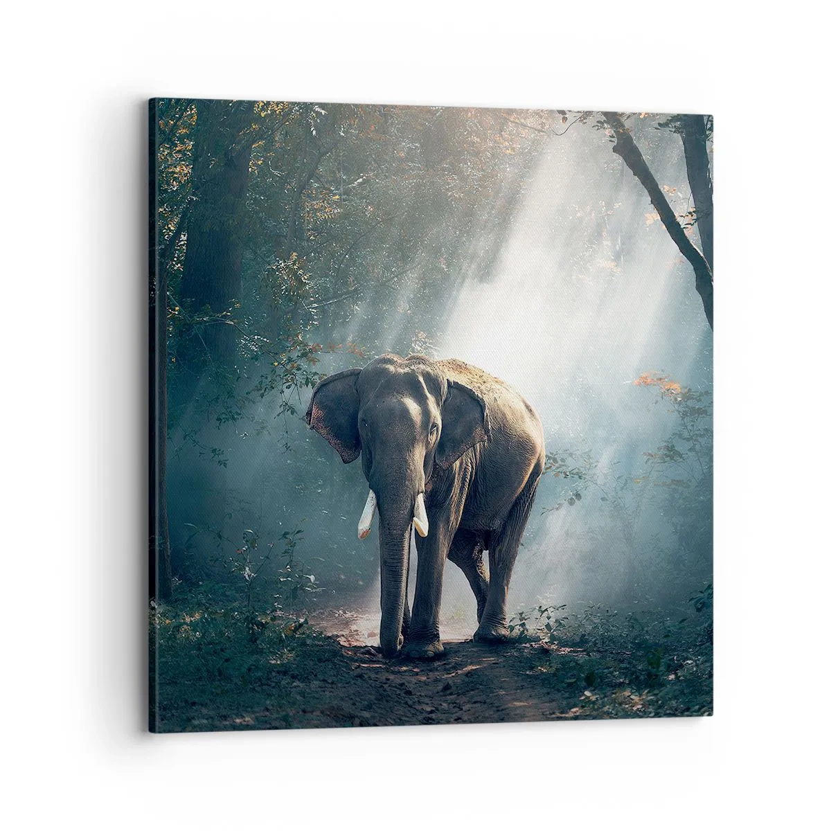 Tablou pe pânză - O plimbare liniștită - 70x70 cm