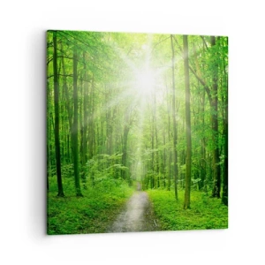 Tablou pe pânză - Catedrala verde - 50x50 cm