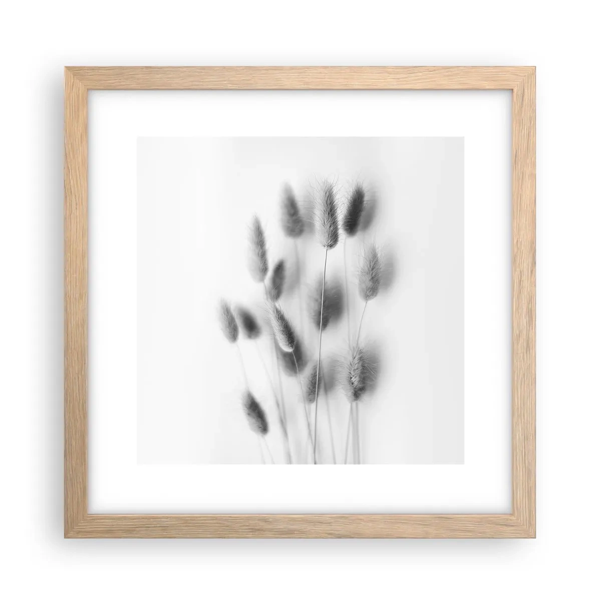 Poster în ramă de stejar deschis - Pufoșenia ierbii - 30x30 cm