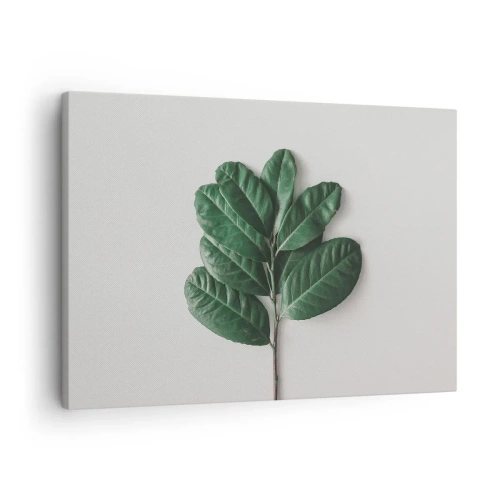 Tablou pe pânză Canvas - O crenguță de frunze verzi pe un fundal deschis - 70x50cm - Desenul naturii însăși - Decorațiune modernă pentru perete pentru living și dormitor ARTTOR