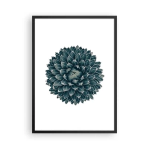 Poster în ramă neagră - Detaliu al unei suculente cu un aranjament simetric de frunze - 50x70cm - Steaua deșertului - Decorațiune modernă pentru perete pentru living și dormitor ARTTOR