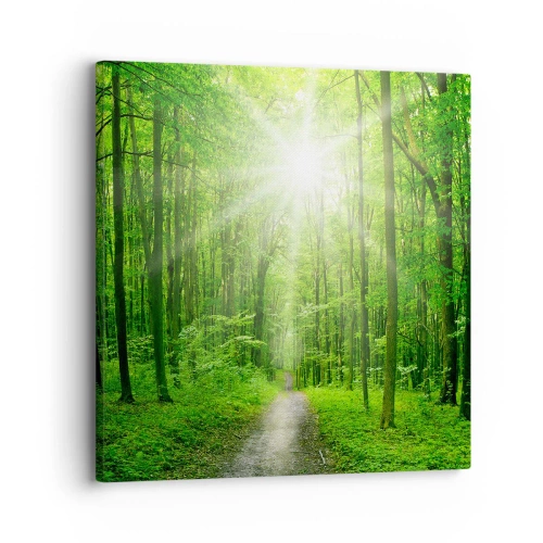 Tablou pe pânză - Catedrala verde - 30x30 cm