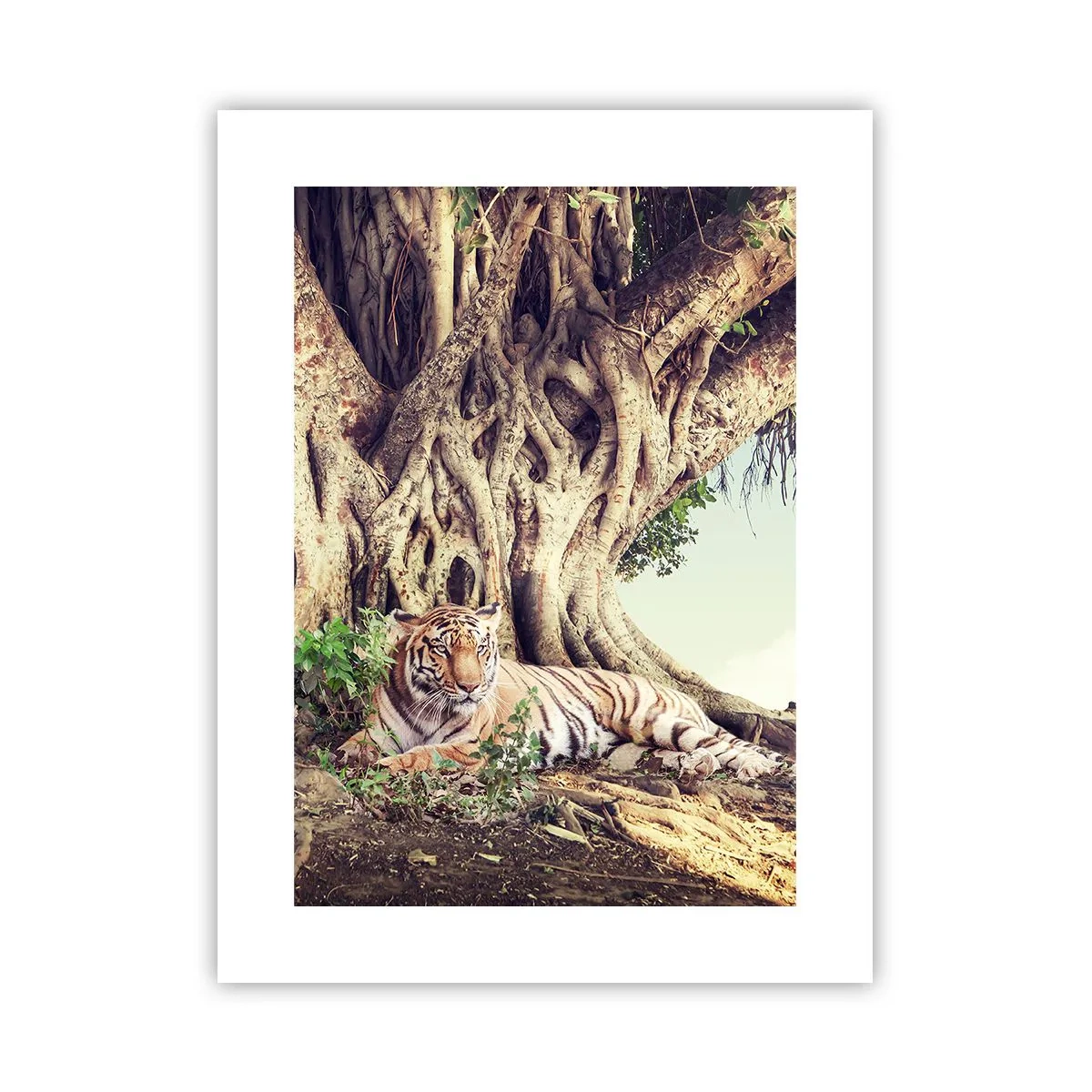 Poster - O perspectivă din Geneză - 30x40 cm