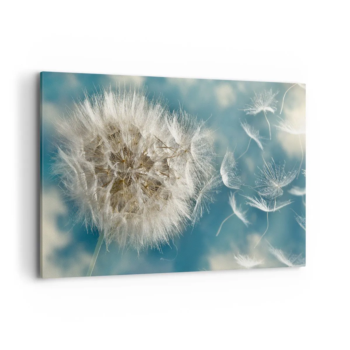 Tablou pe pânză - Respirația unui înger - 120x80 cm