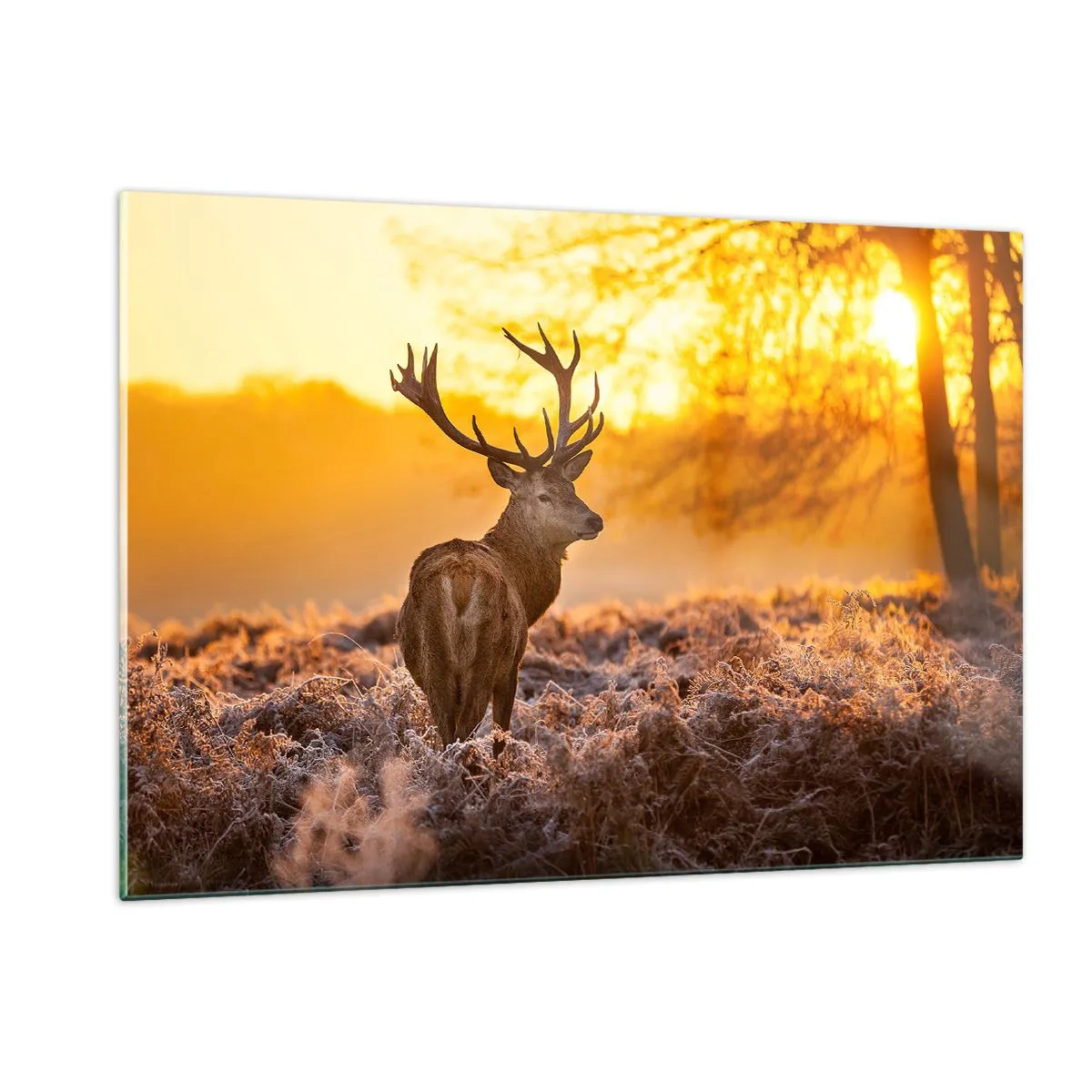 Tablou pe sticlă - Regele pădurii de toamnă - 120x80 cm