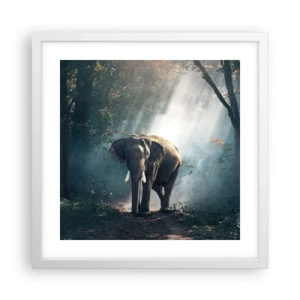 Poster în ramă albă - O plimbare liniștită - 40x40 cm