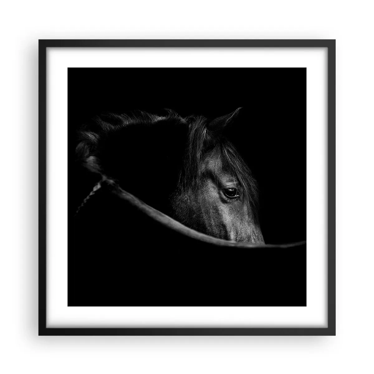 Poster în ramă neagră - Prințul negru - 50x50 cm