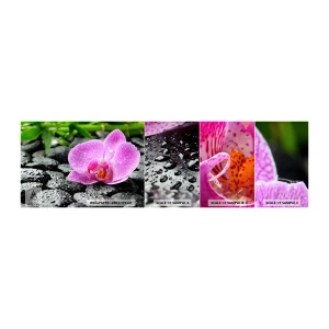 Mostră tapet autocolant Deluxe Sticker - Ca o inimă deschisă - Flori, Orhidee, Orhidee - 100x30 cm