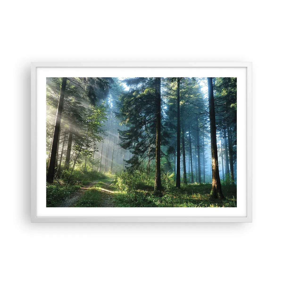 Poster în ramă albă - Strălucirea de dimineață - 70x50 cm