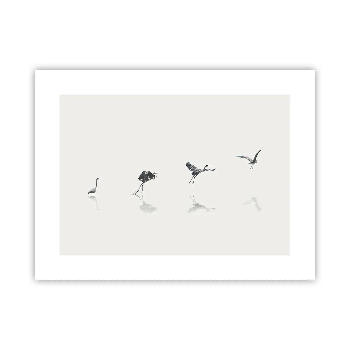 Poster - Patru pași simpli - 40x30 cm