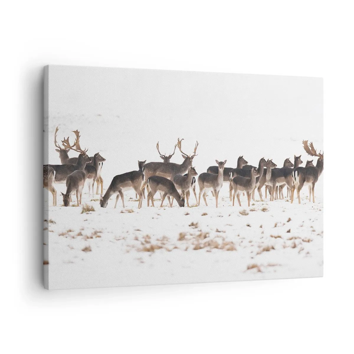 Tablou pe pânză Canvas - O turmă de căprioare pe un fundal înzăpezit - 70x50cm - Vine Crăciunul? - Decorațiune modernă pentru perete pentru living și dormitor ARTTOR