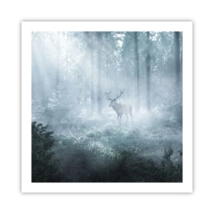 Poster - Plimbarea de dimineață prin regat - 60x60 cm