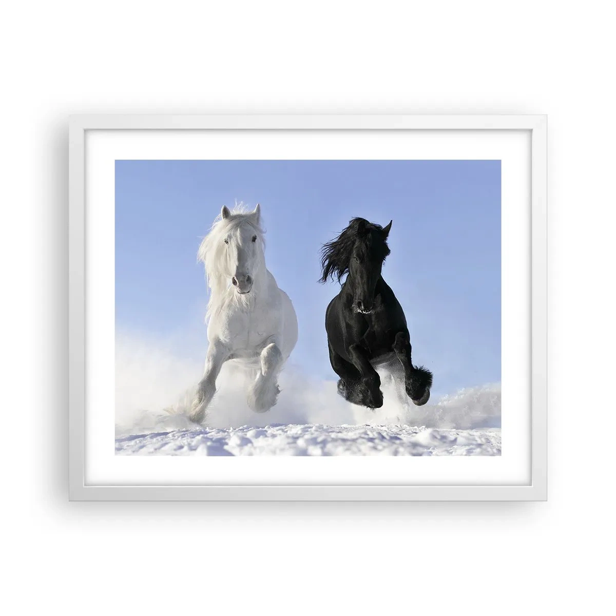 Poster în ramă albă - Galop de alb și negru - 50x40 cm
