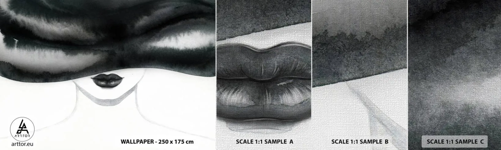 Mostră tapet Premium Canvas - Un mister senzual - Femeie În pălărie, Model, alb-negru - 100x30 cm