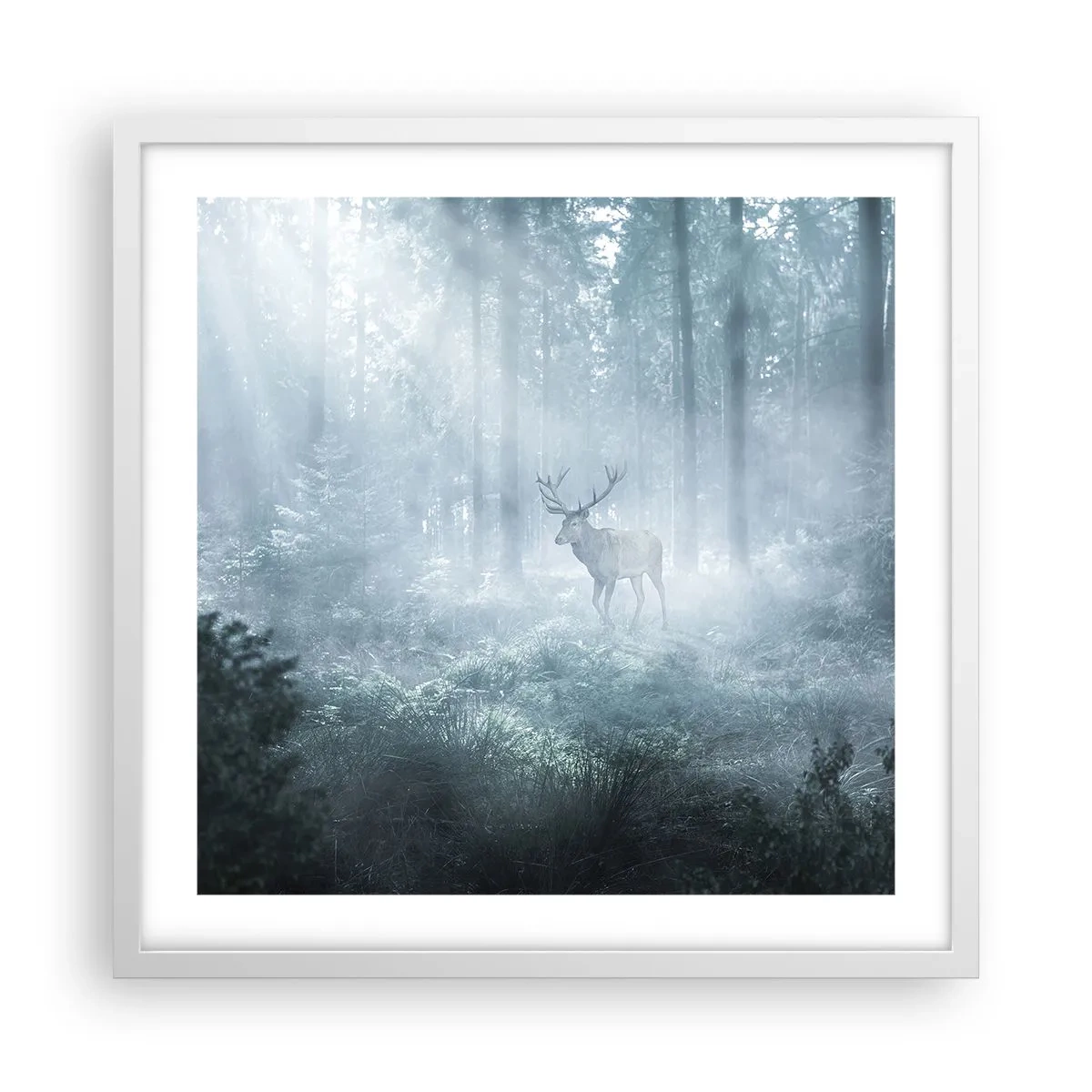 Poster în ramă albă - Plimbarea de dimineață prin regat - 50x50 cm