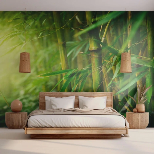 Tapet Premium Canvas - Cunoașteți verdeața în sine - Plantă, Bambus, Junglă - 350x256 cm