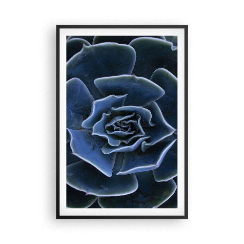 Poster în ramă neagră - Floare de deșert - 61x91 cm