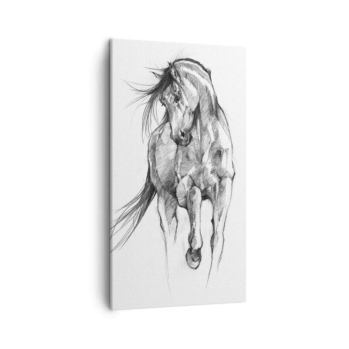 Tablou pe pânză - Într-un trap grațios - 45x80 cm