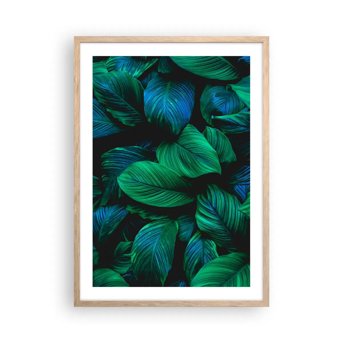 Poster în ramă de stejar deschis - Traficul verde - 50x70 cm