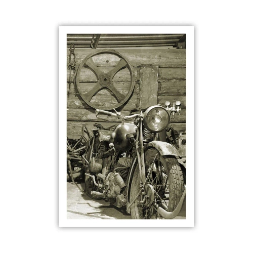 Poster - În șopronul unchiului Vlad - 61x91 cm