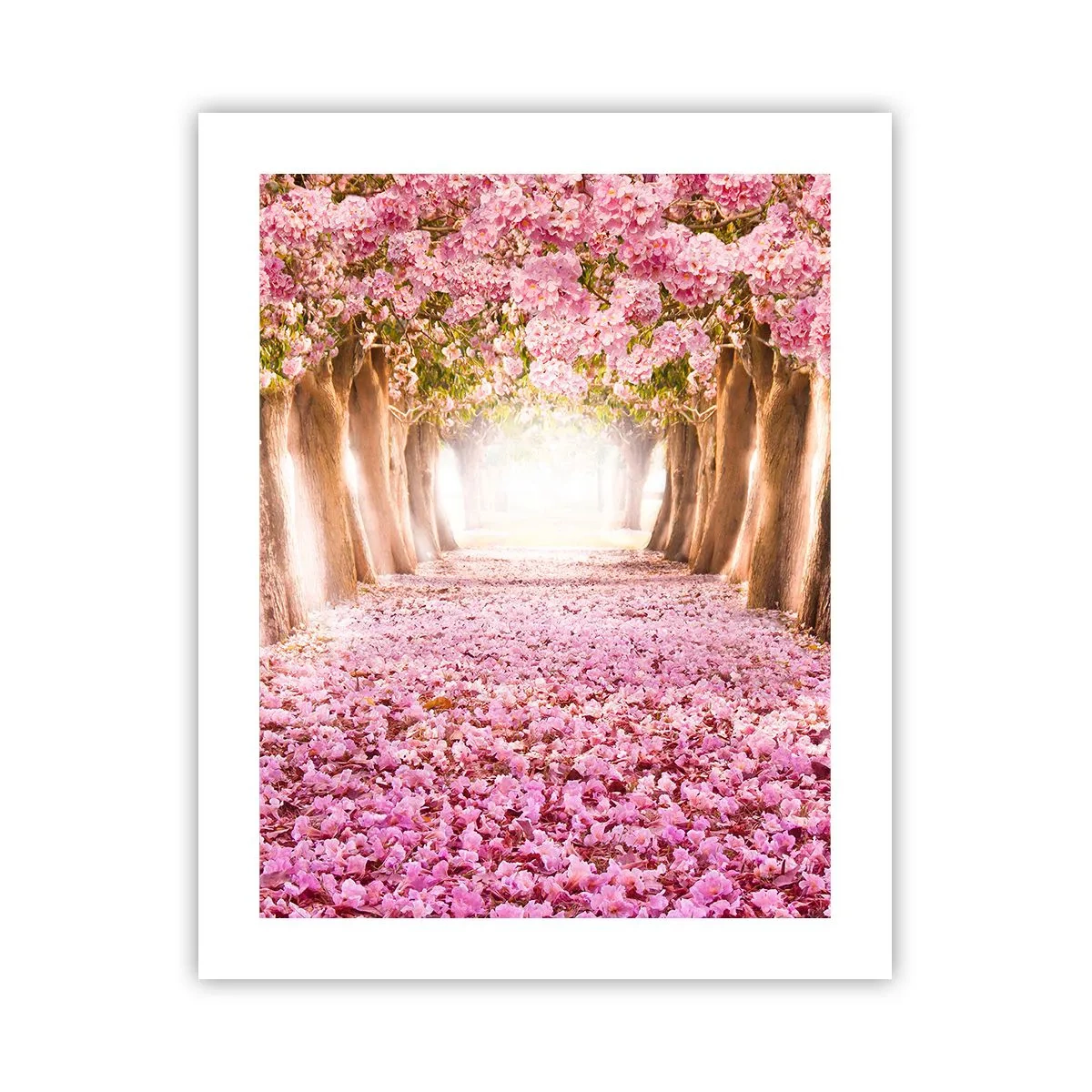 Poster - Drumul spre paradis - 40x50 cm