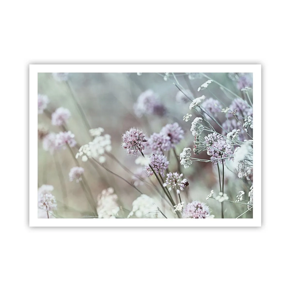 Poster - Ierburi dulci filigranate - 100x70 cm