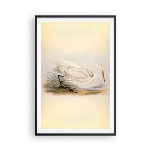 Poster în ramă neagră - Doamna în stufărișuri - 61x91 cm