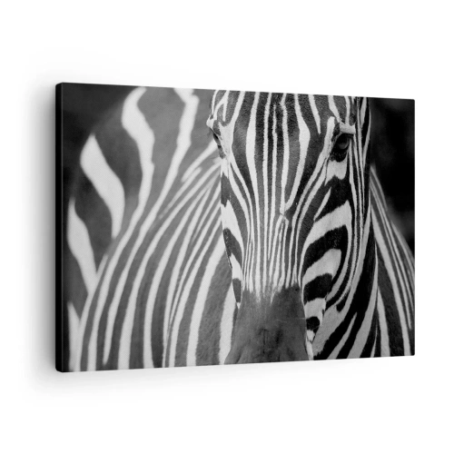 Tablou pe pânză Canvas - O prim-plan alb-negru al unei zebre cu dungile sale distinctive. - 70x50cm - Lumea e albă și neagră - Decorațiune modernă pentru perete pentru living și dormitor ARTTOR