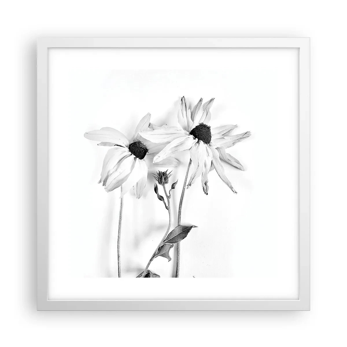 Poster în ramă albă - Nimeni nu vrea să fie singur - 40x40 cm