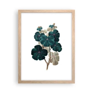 Poster în ramă de stejar deschis - Dintr-un vechi ierbar - 30x40 cm