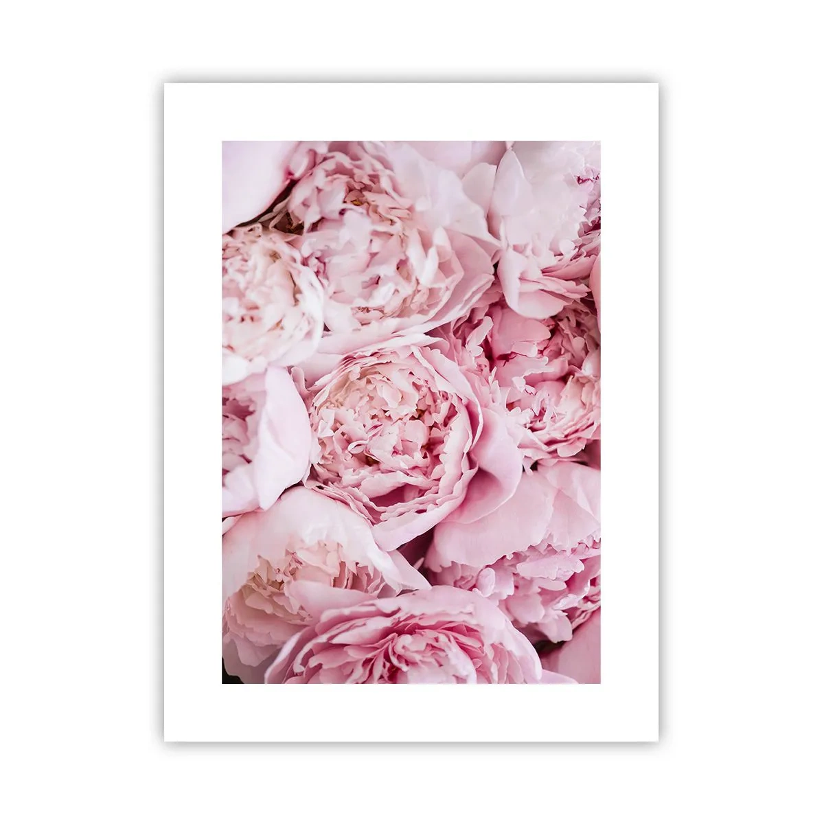 Poster - Îmbrățișate și parfumate - 30x40 cm