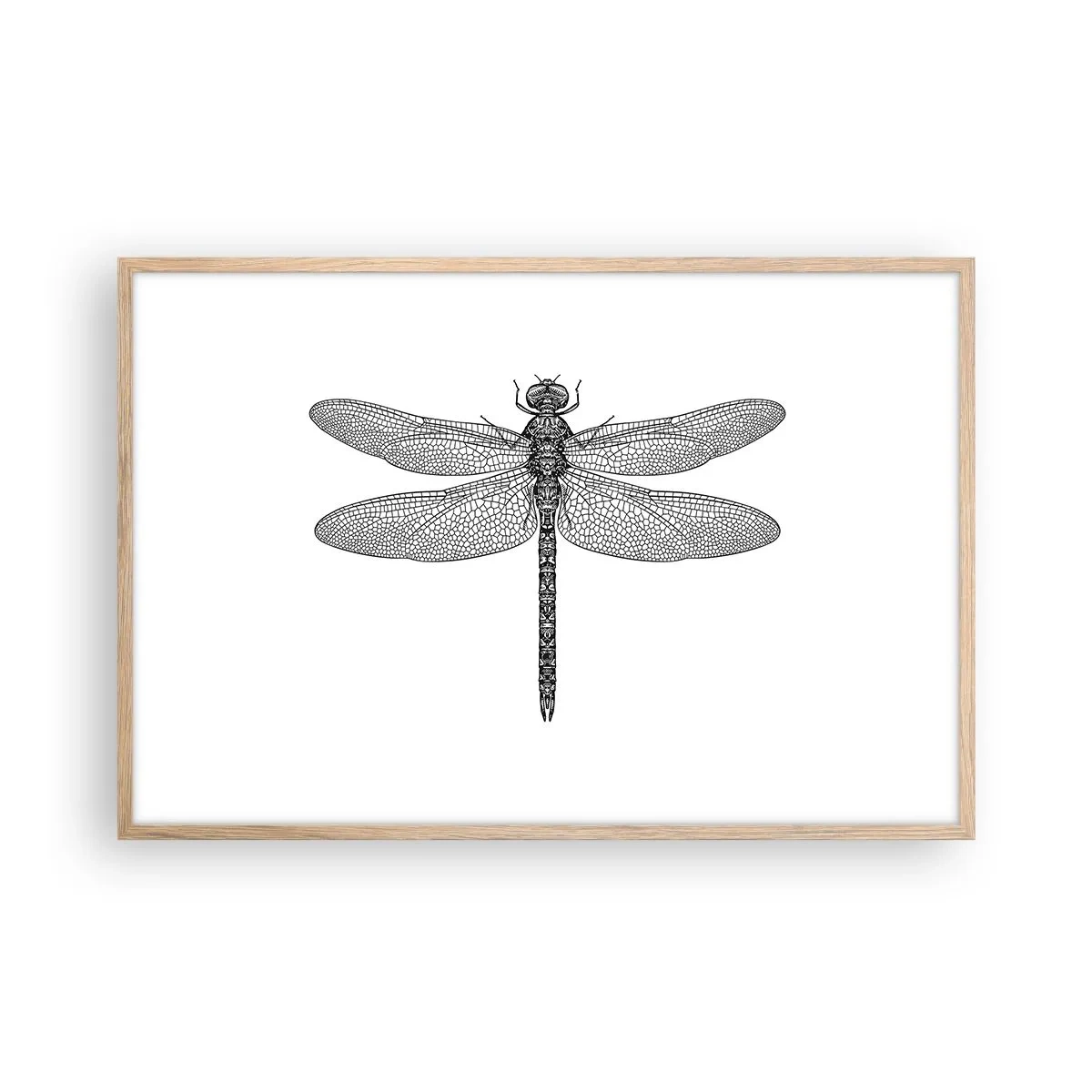 Poster în ramă de stejar deschis - Precizia naturii - 91x61 cm